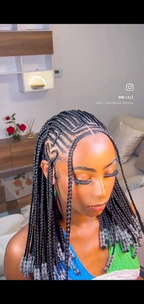 30 PICTURES Latest Hairstyles for Ladies - African braids