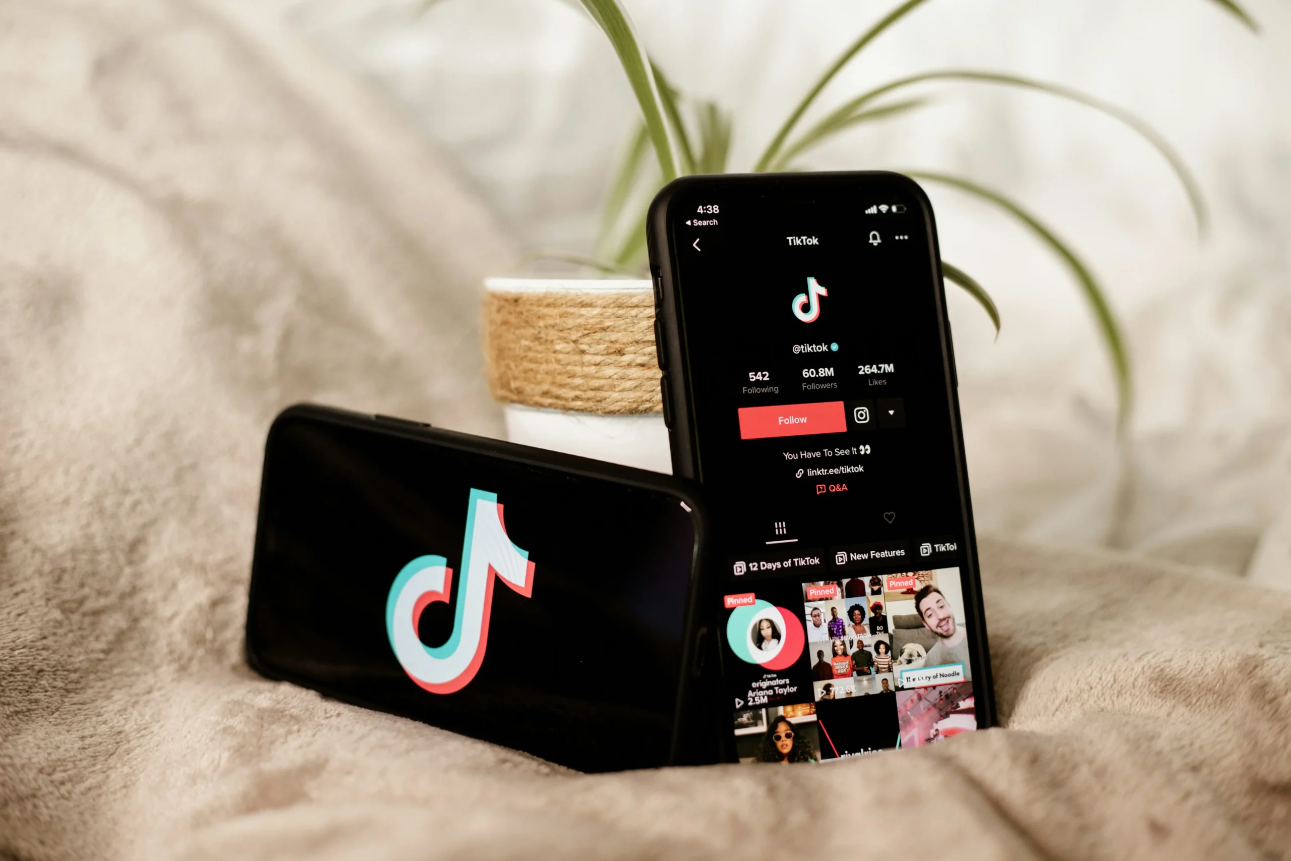 A Step-by-Step Guide to Advertising Your Video on TikTok