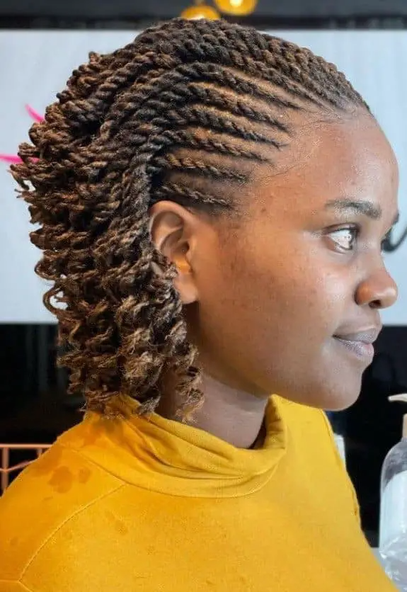 20 PHOTOS Senegalese twists styles + Hot twist hairstyles 