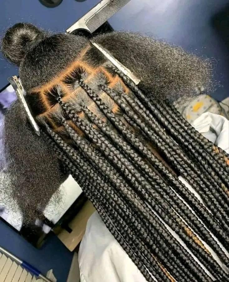 25 PHOTOS Knotless braids styles + Box braids hairstyles 