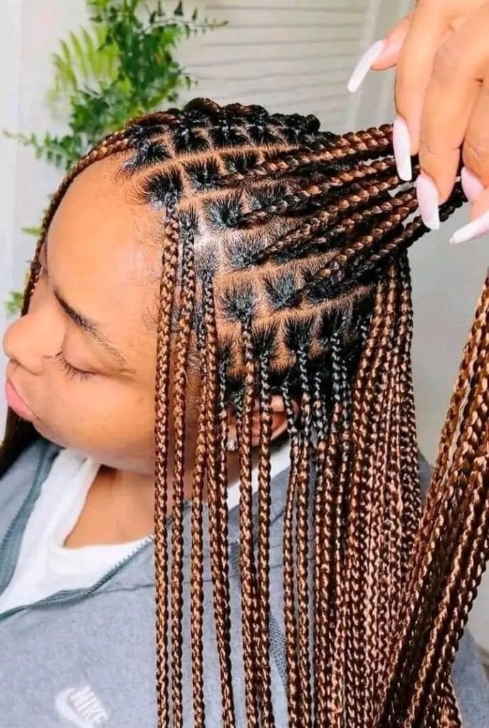 25 PHOTOS Knotless braids styles + Box braids hairstyles 