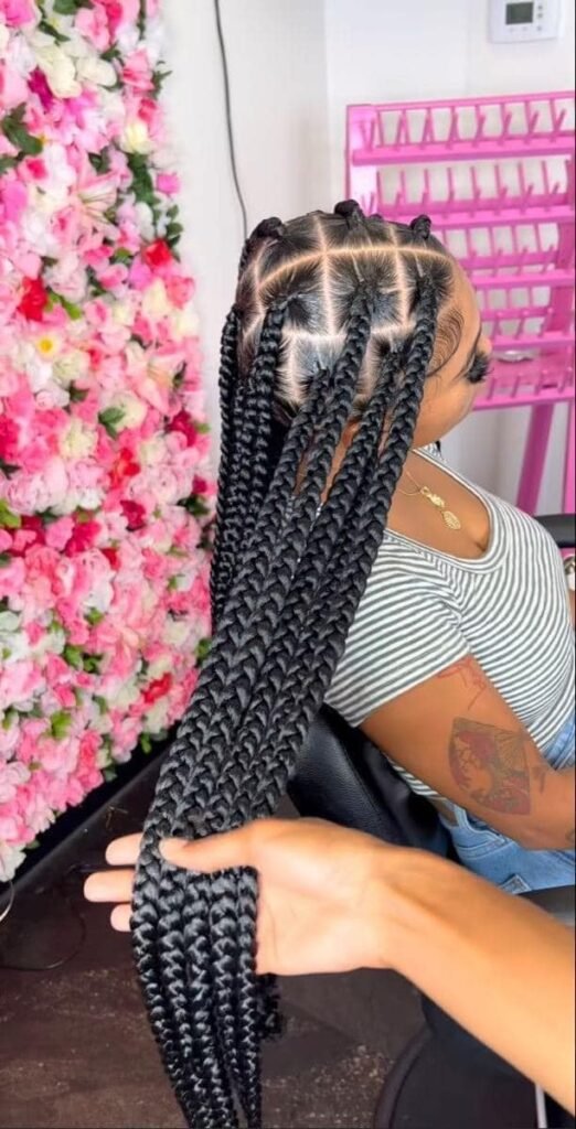 25 PHOTOS Knotless braids styles + Box braids hairstyles 