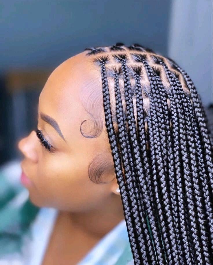 25 PHOTOS Knotless braids styles + Box braids hairstyles 