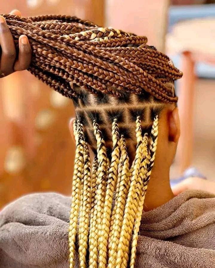 Hot twist hairstyles, Knotless braids styles & Cornrow braid designs