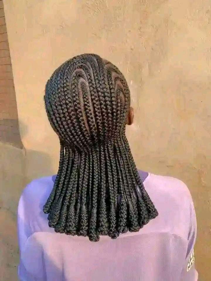 Hot twist hairstyles, Knotless braids styles & Cornrow braid designs