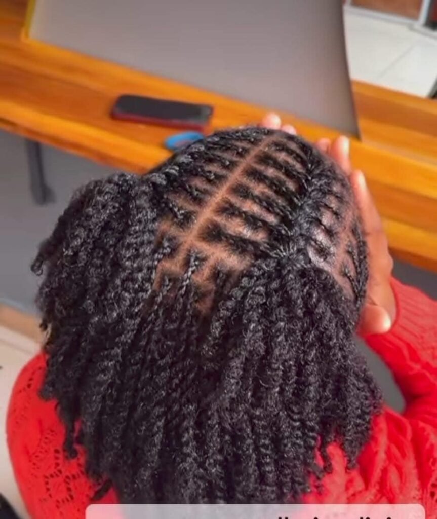 20 PHOTOS Exclusive Braid Patterns for Black Women