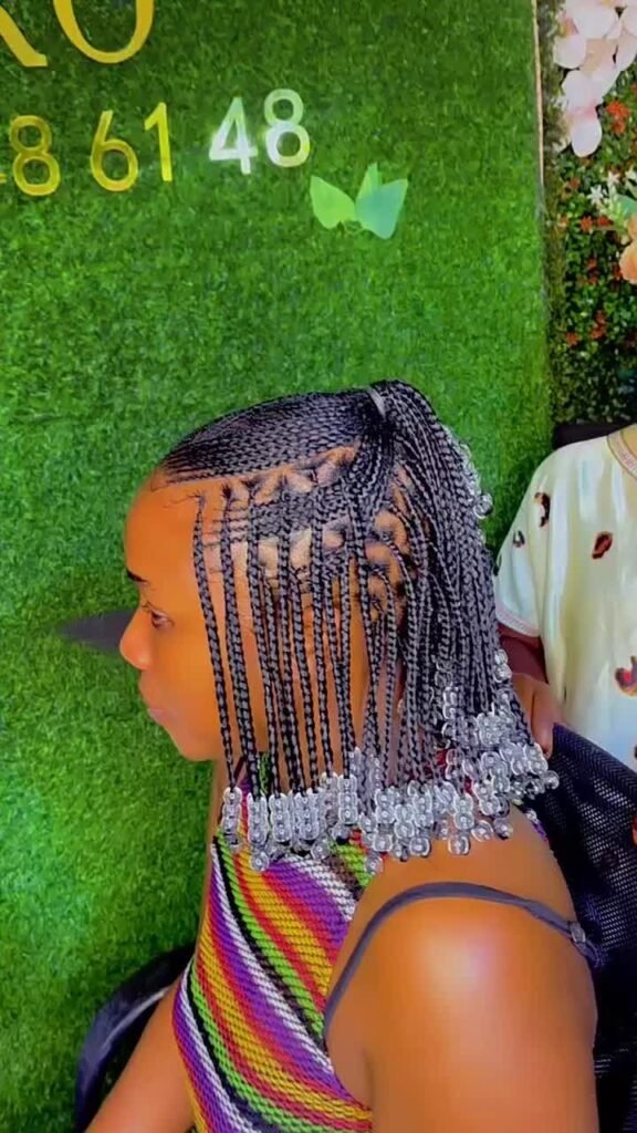 20 PHOTOS Quick braids - Top luxury hairstyles for Women in 2025
