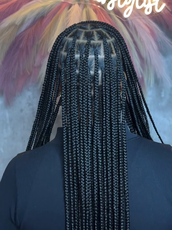 20 PHOTOS Quick braids - Top luxury hairstyles for Women in 2025